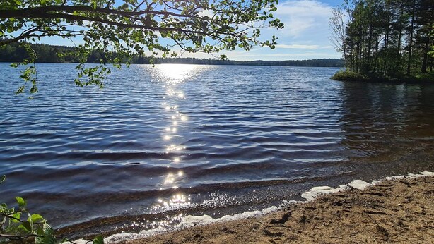 A calm lake with sunlight reflecting on the water, surrounded by trees and a clear sky. - 4 Star Holiday Home in Vintrosa (Vintrosa)