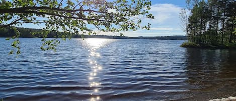 House | Water view