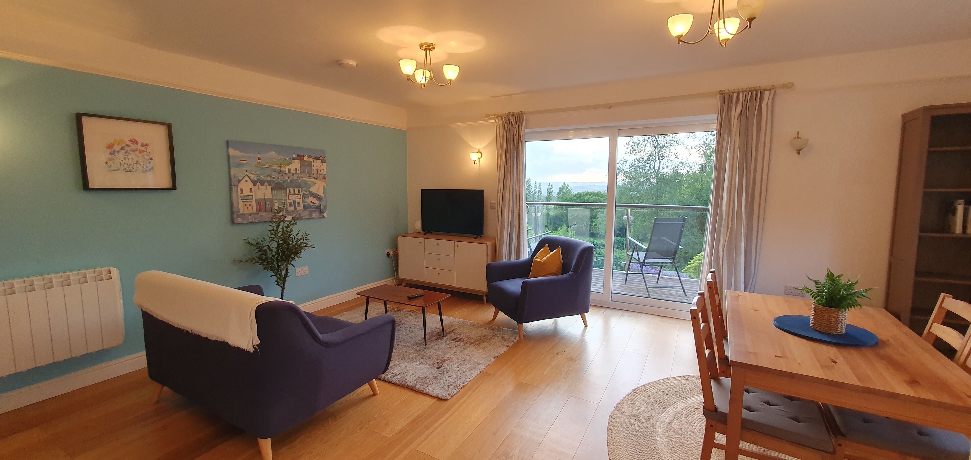 智能電視、書籍