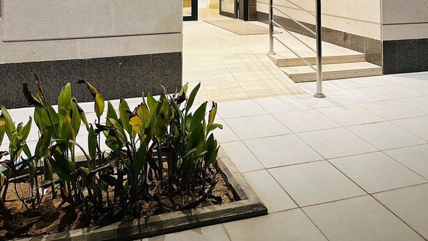 A modern building entrance with a tiled floor, a metal railing, and a plant area.