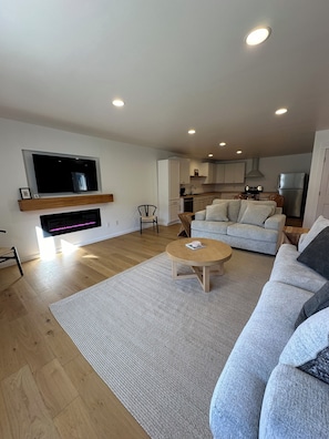 Smart TV, fireplace, books