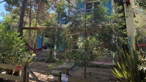 A building with a blue door and windows, surrounded by trees and plants. - Marvelous  Stone House, Swimming Pool, Parrilleros, Beach & Nature. Pet-Friendly (Oceanía del Polonio)