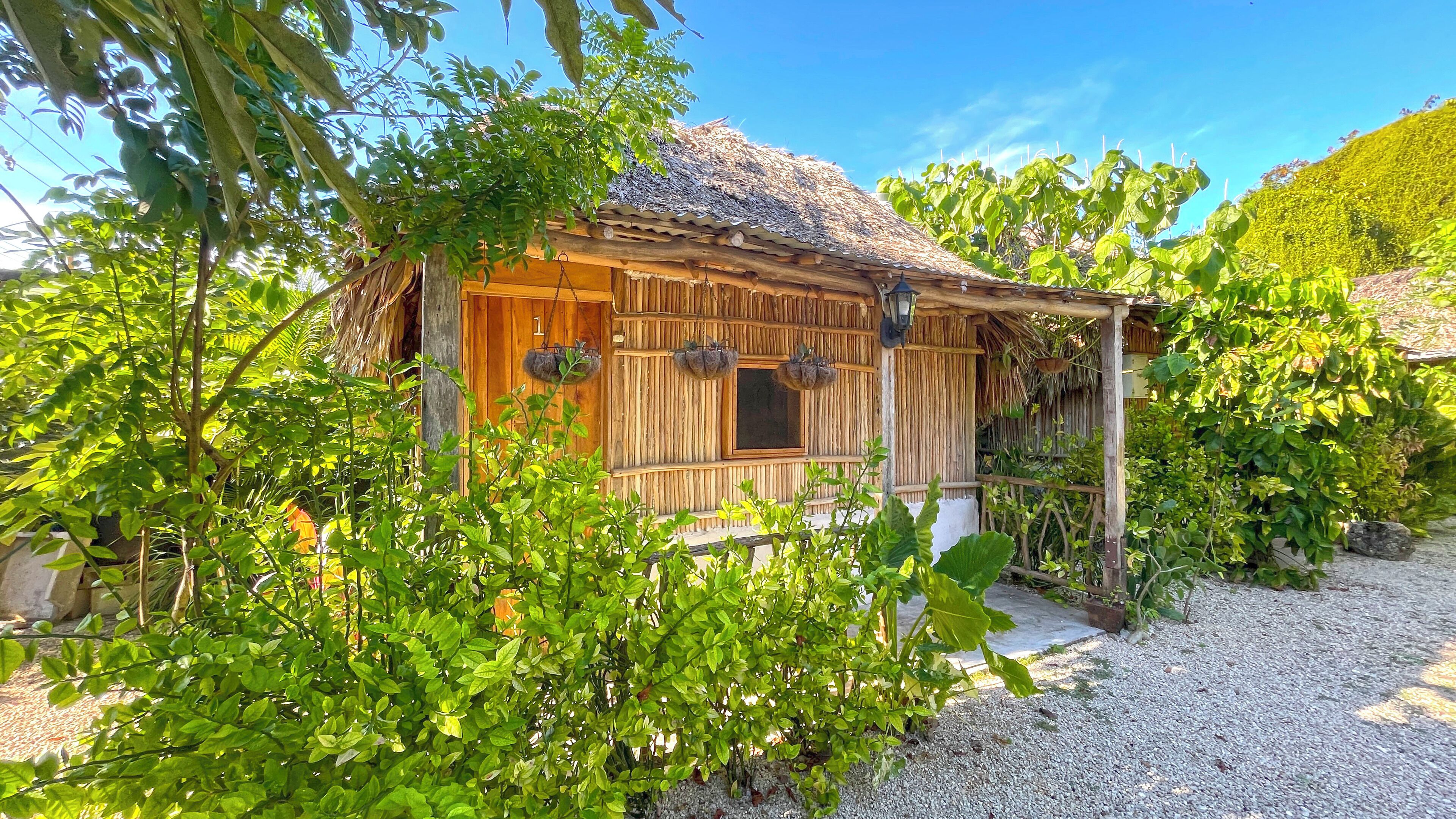 Basic Cabin, Patio, Courtyard View