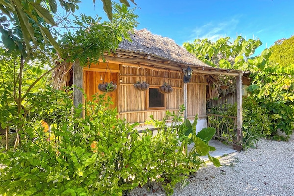 Cabaña básica, patio, vista al patio | Ropa de cama hipoalergénica, wifi gratis y ropa de cama