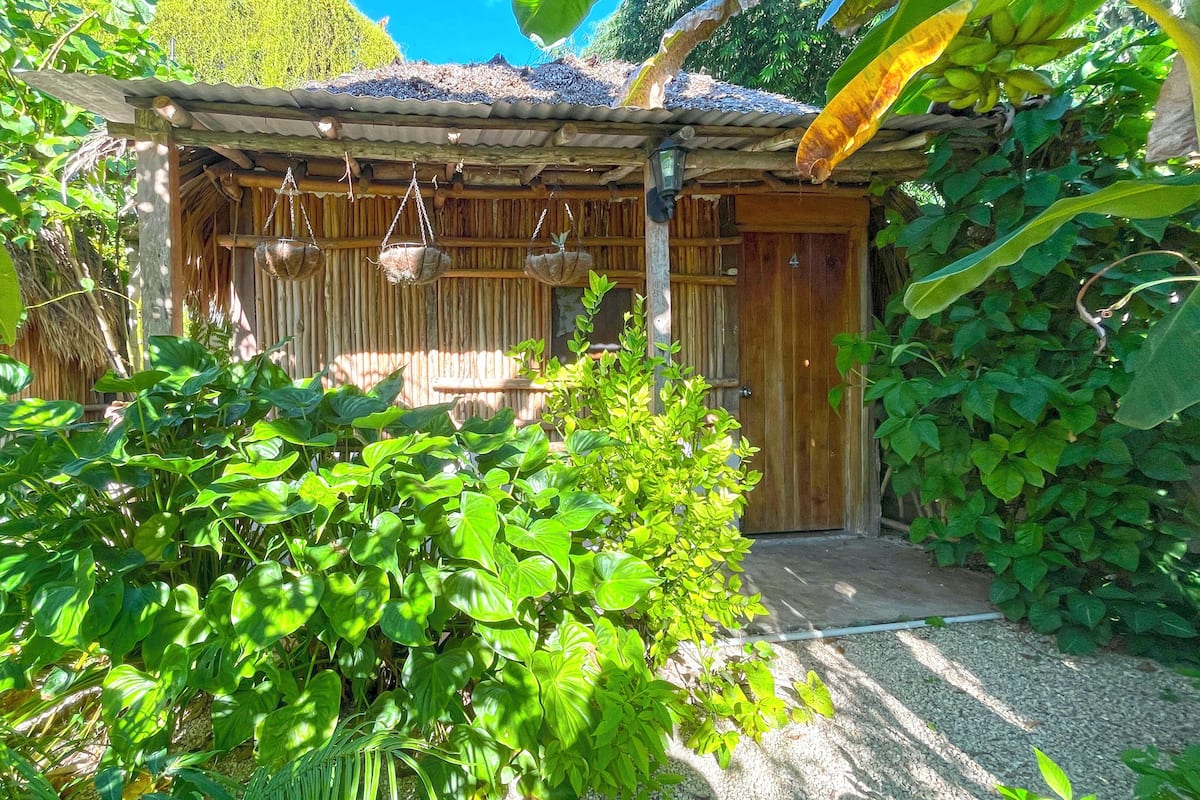 Hypo-allergenic bedding, free WiFi, bed sheets