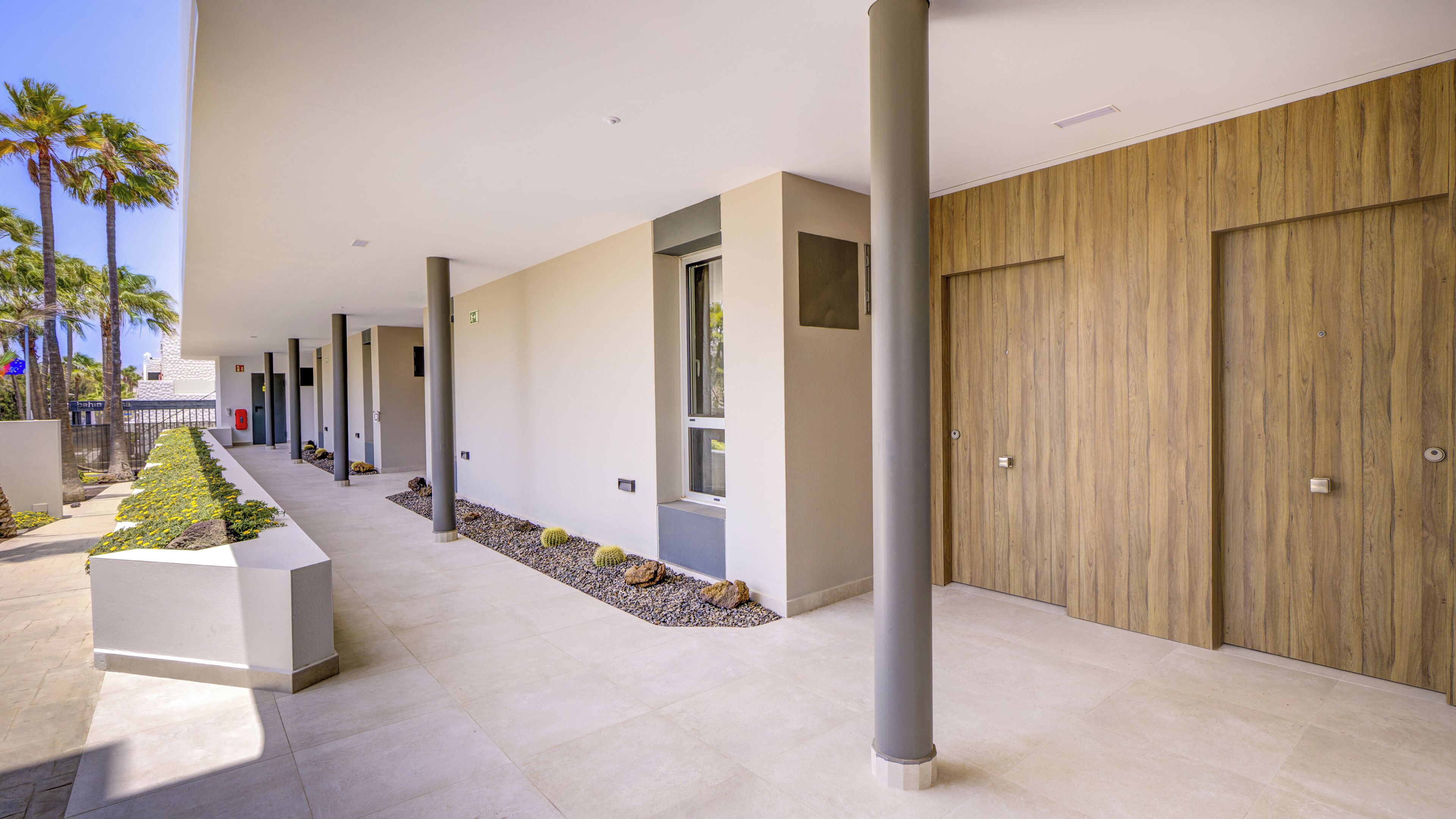 A modern building corridor with a row of doors, a planter with plants, and a clear sky.