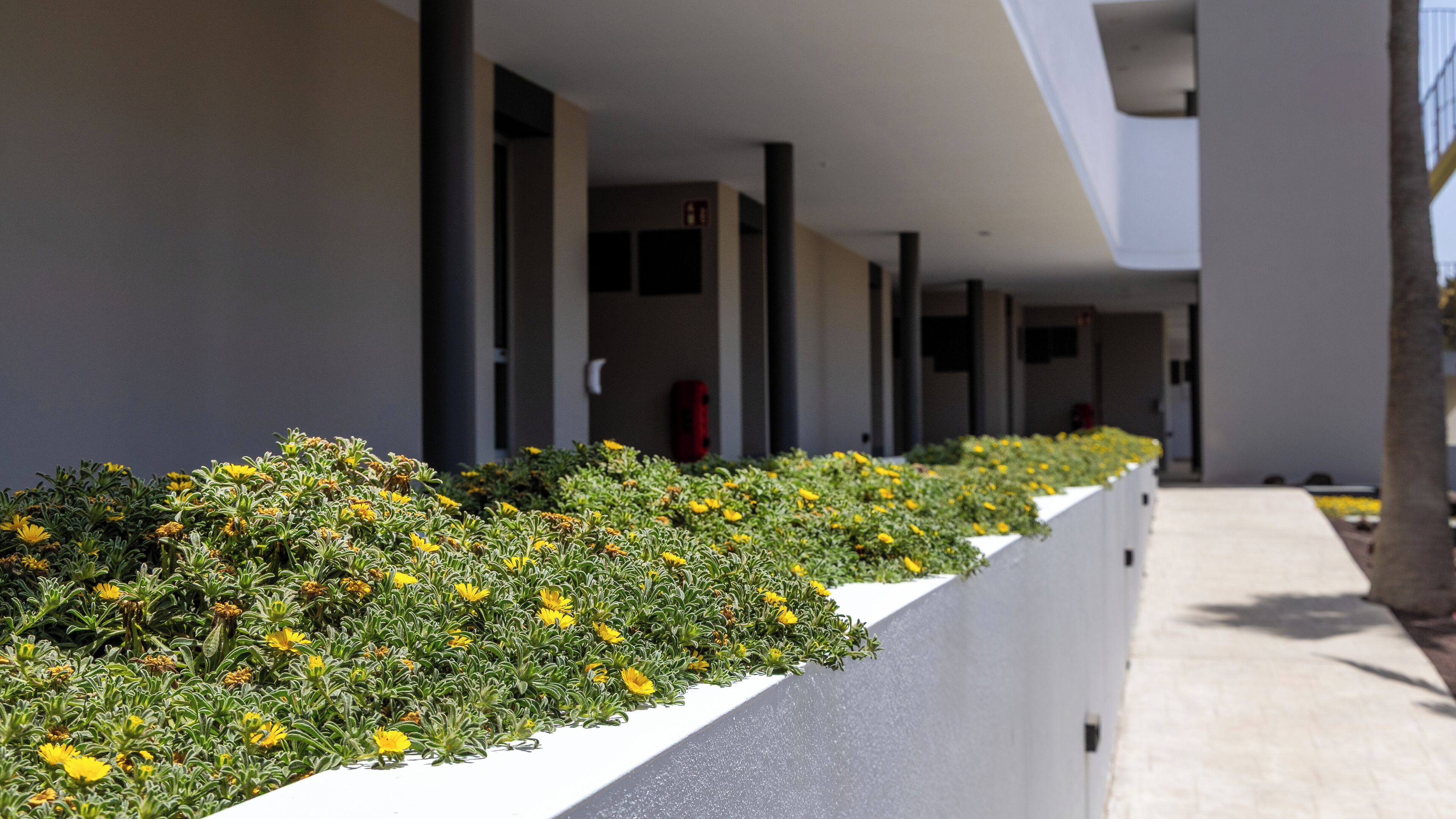 A corridor with a row of flower beds and a modern building facade.