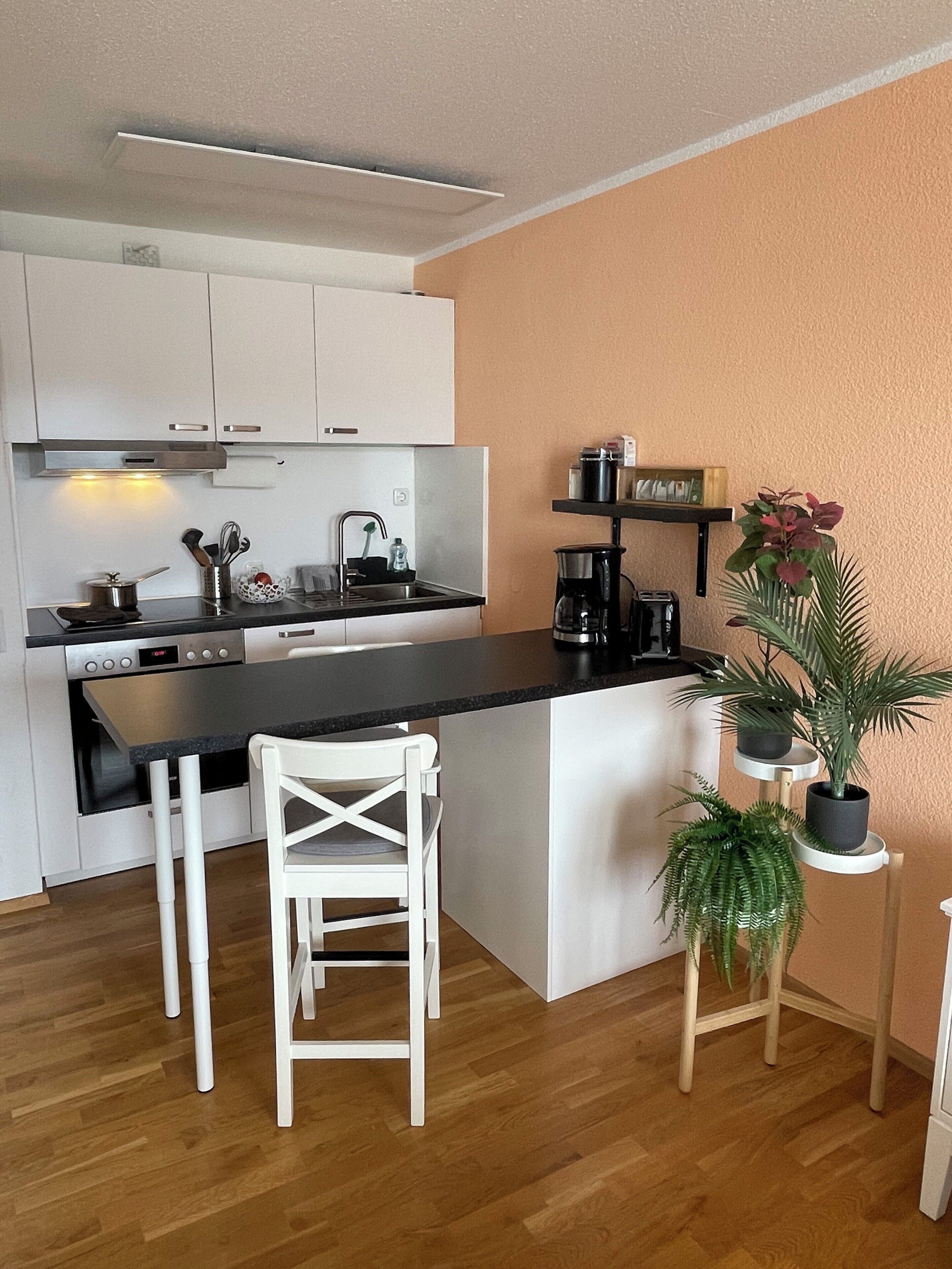 Kühlschrank, Ofen, Herdplatte, Wasserkocher mit Kaffee-/Teezubehör