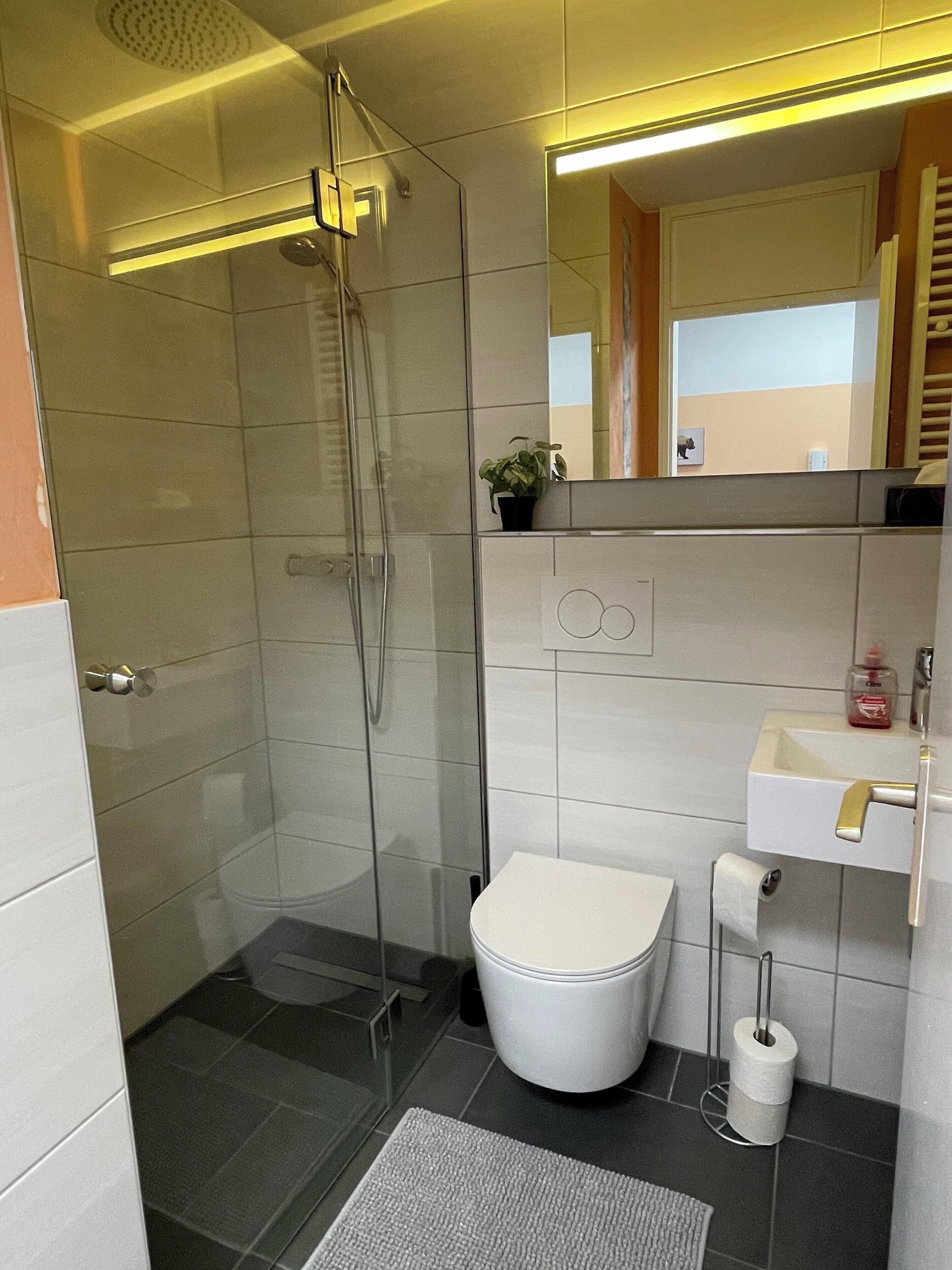 Douche, sèche-cheveux, serviettes fournies, papier toilette
