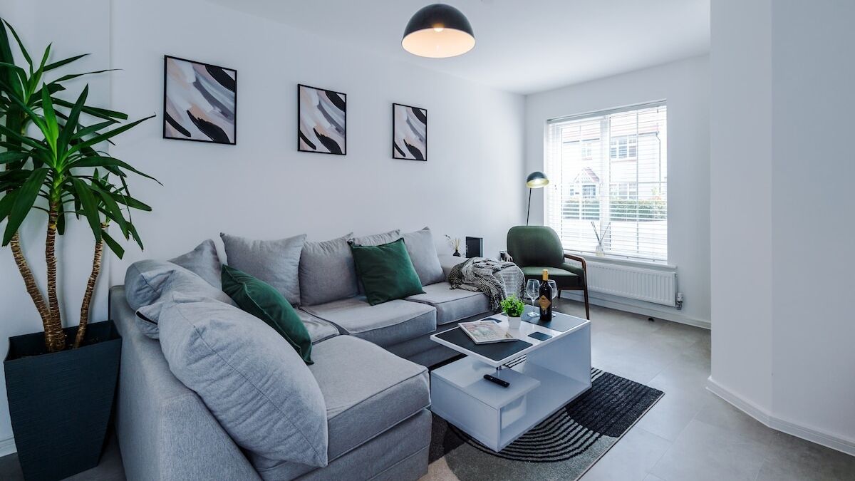 Una sala de estar moderna con un sofá gris, una mesita de centro y una planta en maceta.