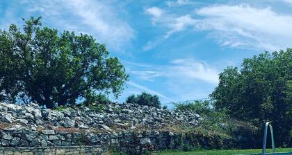 CASA SERRA DAIRE - Parque Natural Serra Daire de Candeeiros