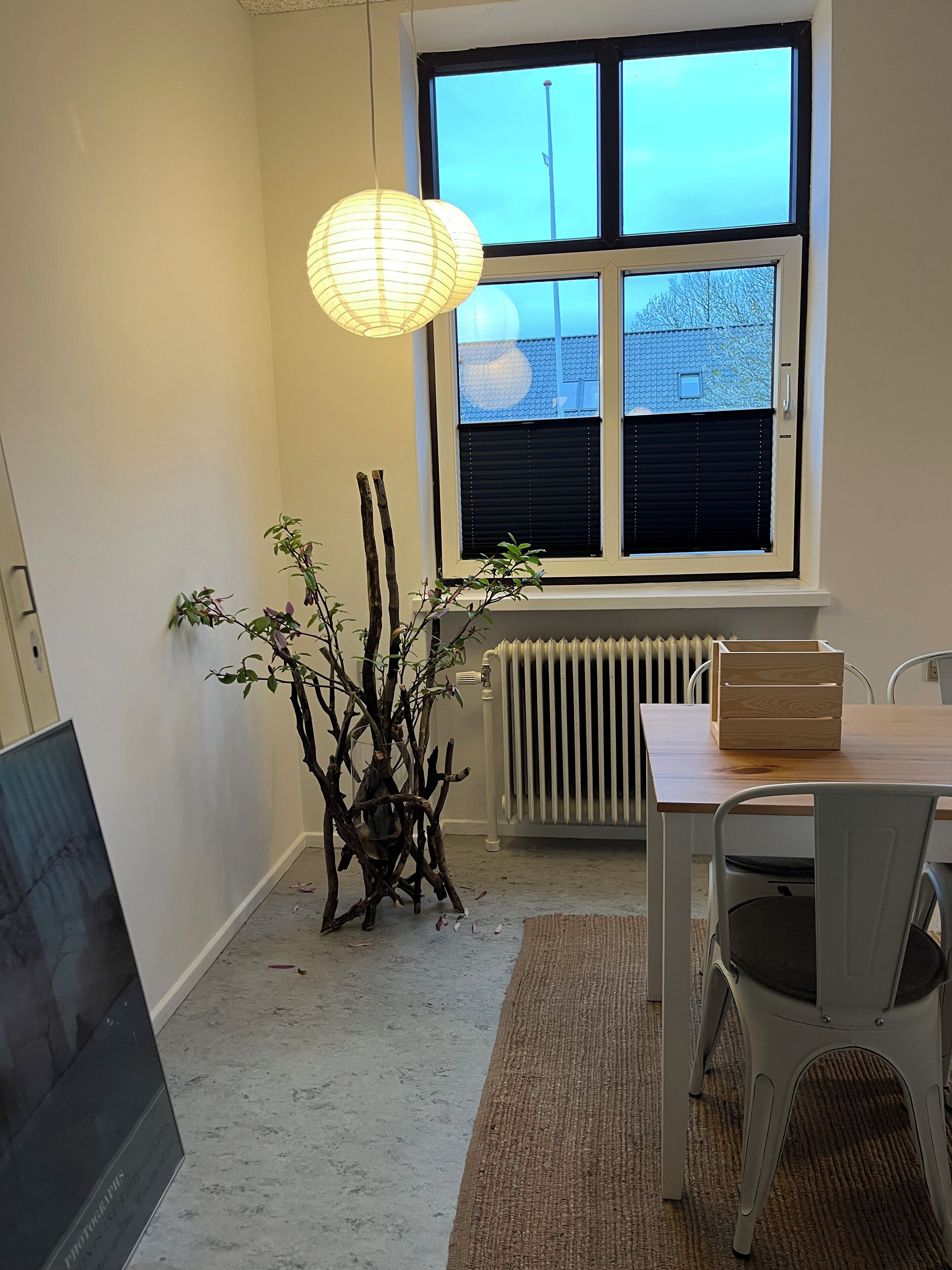 A room with a window, radiator, table, chairs, and a plant.