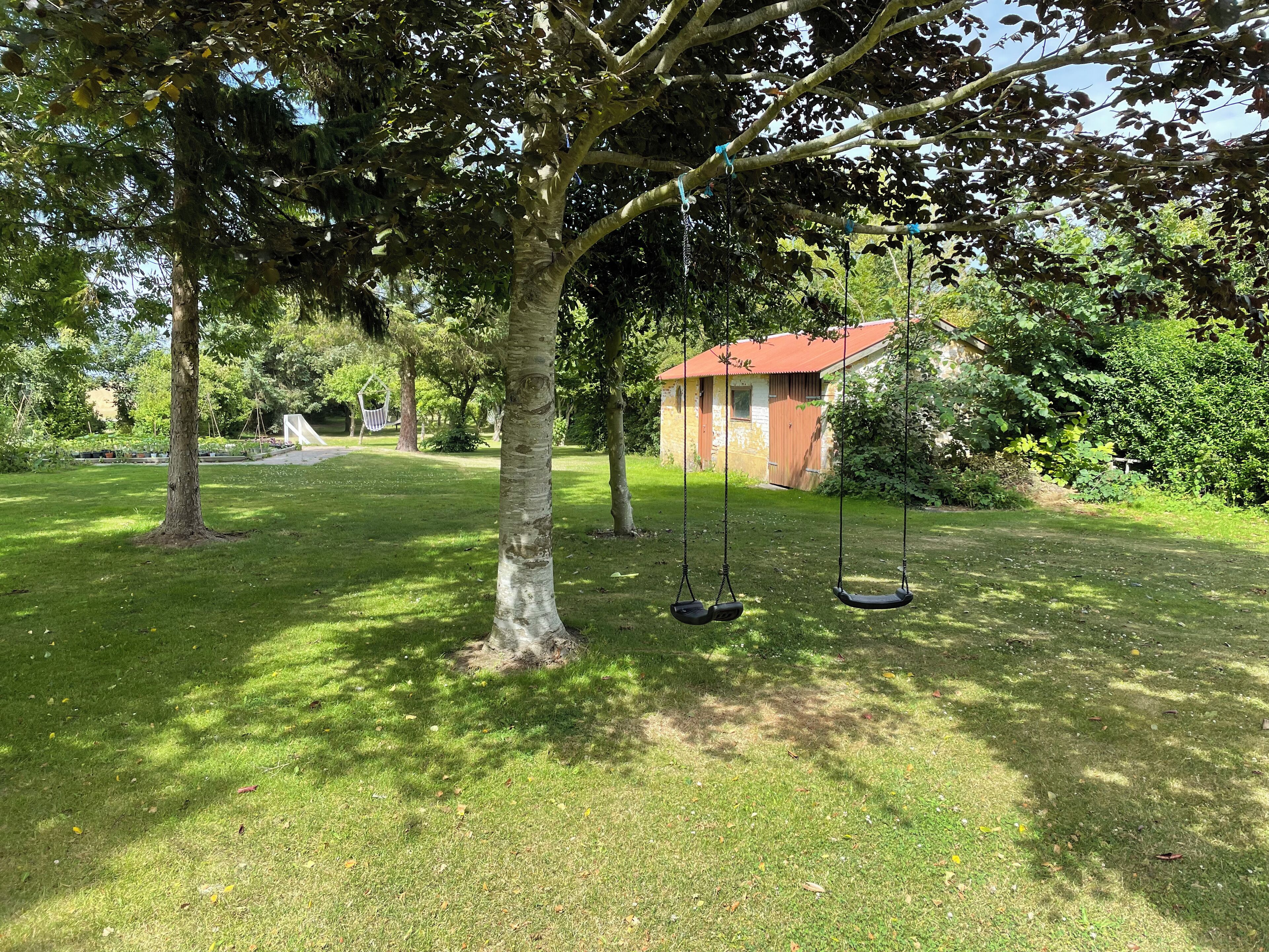 A grassy area with two swings under a large tree, a small building with a red roof, and a hammock in the background.