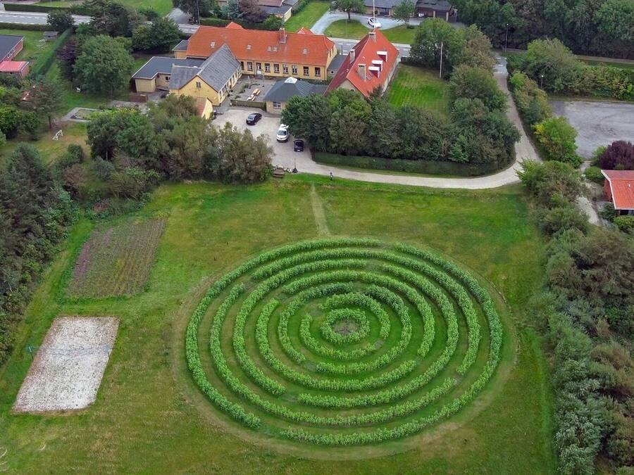 Vista aérea de una zona residencial con un jardín circular en el centro, rodeado de casas y vegetación.