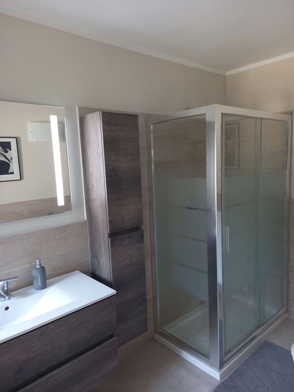 Shower, hair dryer, bidet, towels
