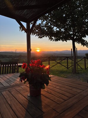 Restauration en plein air