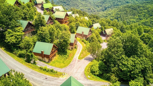 A cluster of cabins with green roofs, surrounded by dense forest and mountains in the background.