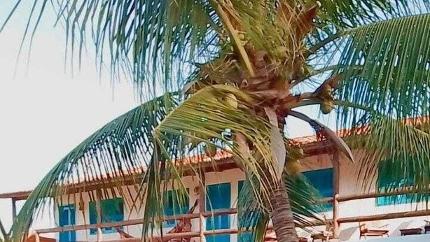 Un espace aménagé au bord de la piscine, avec un palmier, des sièges d’extérieur et un bâtiment aux portes et fenêtres bleues.