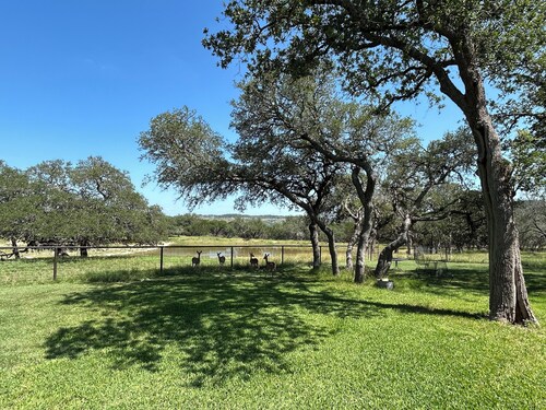 Cool cottage on 30 acres between Blanco and Luckenbach