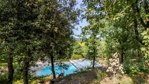Une piscine entourée d’arbres, avec un mur en pierre et une structure en verre à proximité.