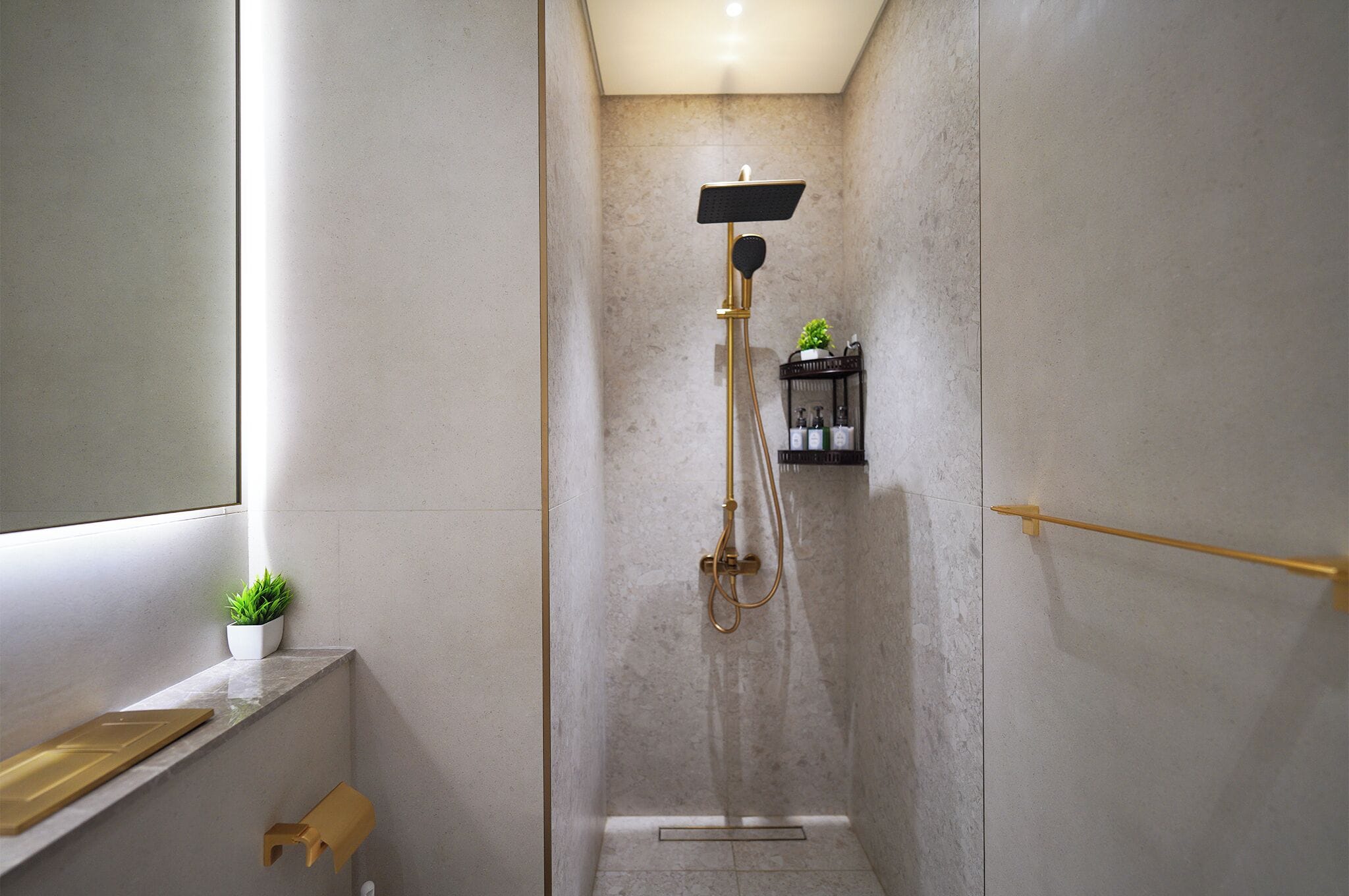 A modern bathroom with a shower, a small shelf with toiletries, and a potted plant.