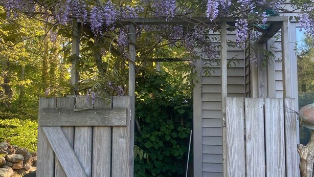 Une pergola en bois ornée de fleurs violettes, une porte en bois et une chaise dans un coin du jardin.