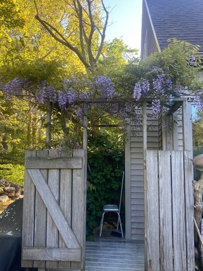 Puinen pergola, jossa on violetteja kukkia, puinen portti ja tuoli puutarha-alueella.