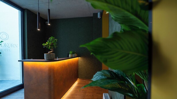 Un comptoir d’accueil avec un revêtement en bois, une plante en pot et une enseigne indiquant « HÔTEL DOKORN ».