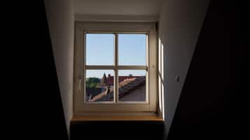 A dormer window with a view of rooftops and a clear sky.