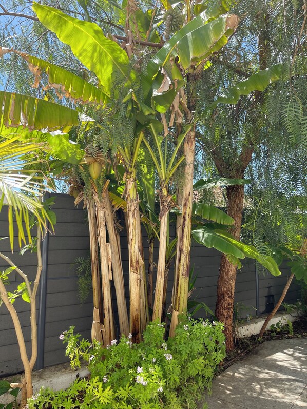 Details aan de buitenkant