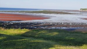 A coastal landscape with a beach and grassy areas.