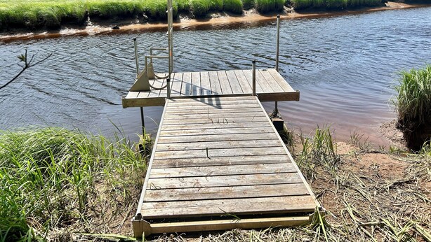 A wooden dock extending into a river, surrounded by lush greenery and trees.