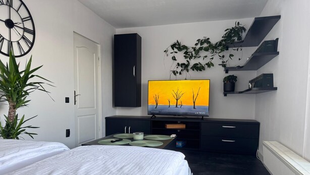 Un dormitorio moderno con dos camas, un televisor sobre un soporte negro, una planta y un reloj en la pared.