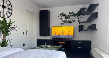Charming 2-bedroom apartment with AC, WiFi in lovely Cluj-Napoca