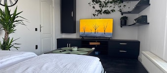 Charming 2-bedroom apartment with AC, WiFi in lovely Cluj-Napoca