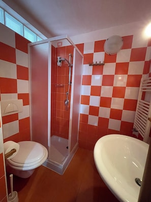 Regadera, secadora de cabello, bidet, toallas 