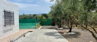 Oasis Pool in the Desert | BBQ and Garden