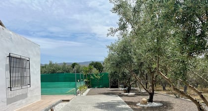 Oasis Pool in the Desert | BBQ and Garden