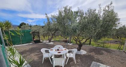 Oasis Pool in the Desert | BBQ and Garden