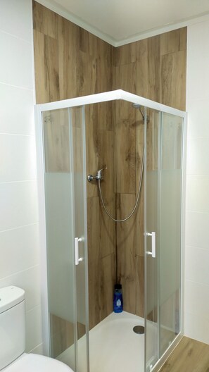 Shower, towels, soap, toilet paper