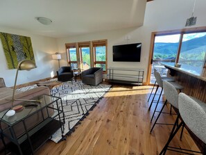 Smart TV, fireplace, books