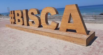 Facing the dune, a large terrace at sunset.