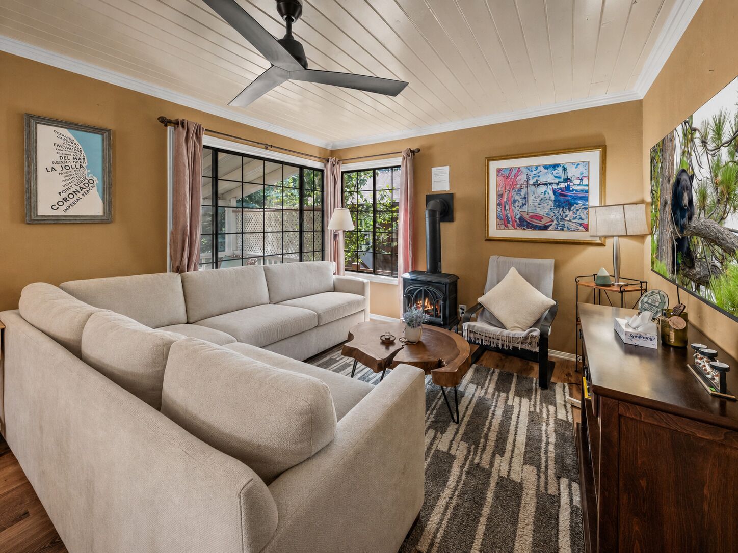 TV, fireplace