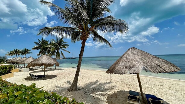 Una playa con sombrillas de paja, sillas de descanso y palmeras.