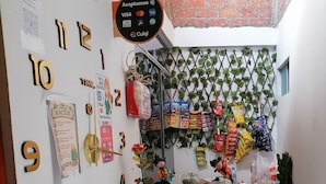 A small shop with a variety of snacks and a plant in the foreground. - hostal kactus (Caraz)