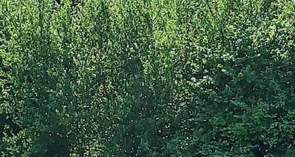 "Sur les prés" is a tent set up in a meadow, 100% natural.