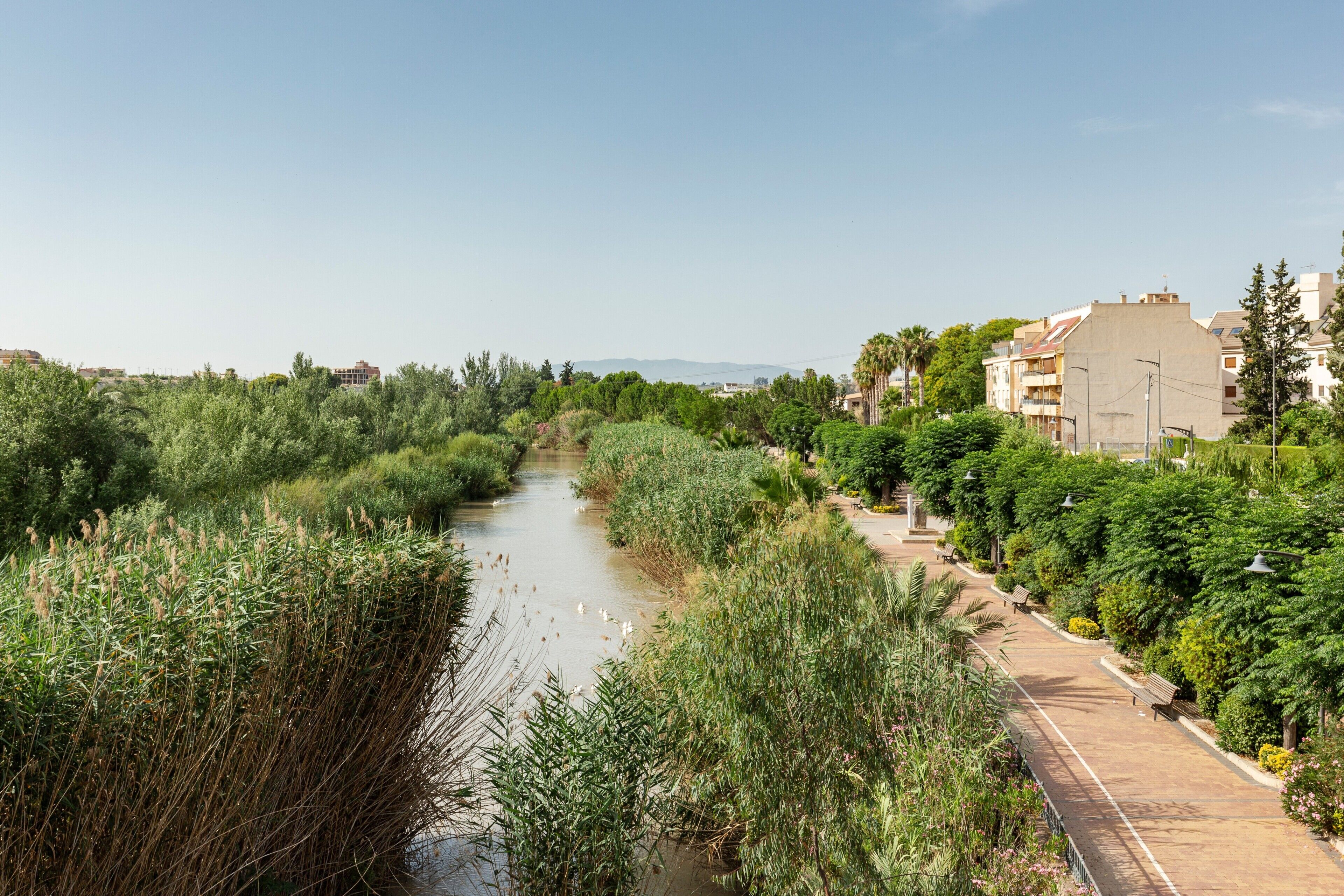 A river with dense vegetation on both sides, a paved walkway, and buildings in the background.
