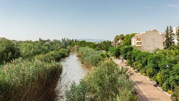A river with dense vegetation on both sides, a paved walkway, and buildings in the background.