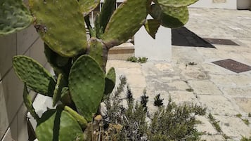 Außendetails