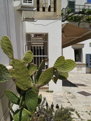 Un patio con una planta de cactus, un edificio blanco con entrada protegida por rejas y una escalera que conduce a un nivel superior.